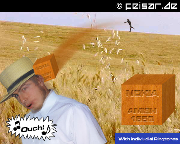 Nokia Amish 1650
Ouch!
With individual Ringtones