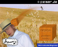 Nokia Amish 1650
Ouch!
With individual Ringtones